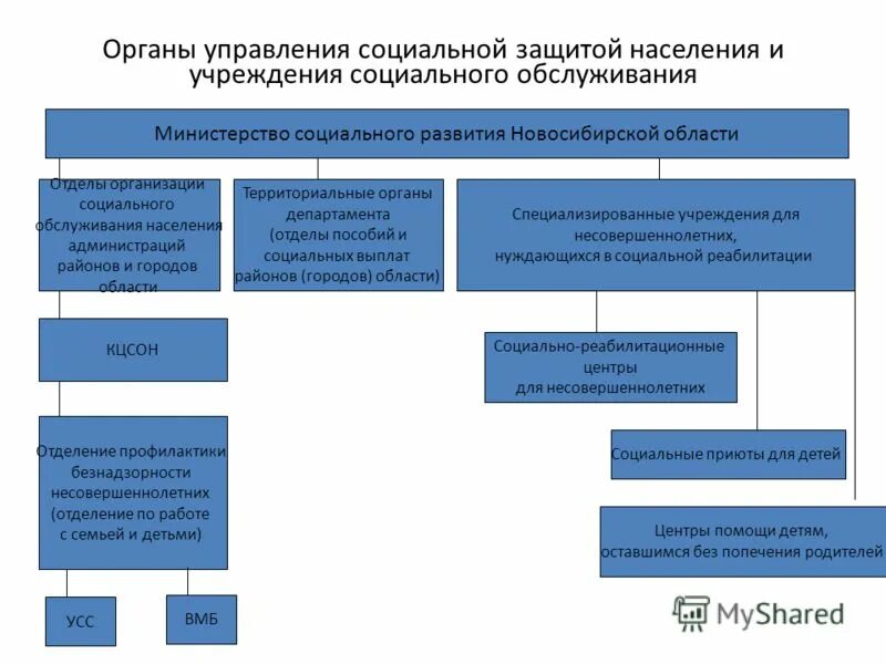 Органы социальной защиты населения правовое положение