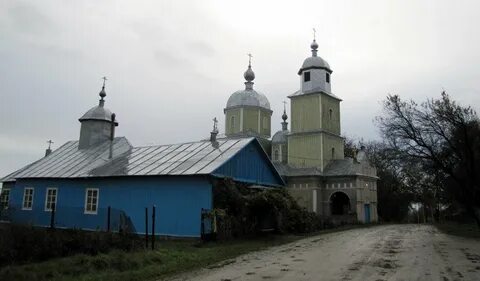 Село криница воронежская область