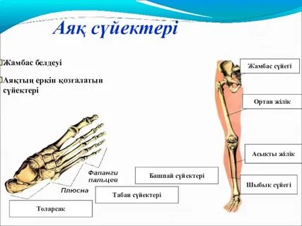 ВКонтакте Элистадағы секс