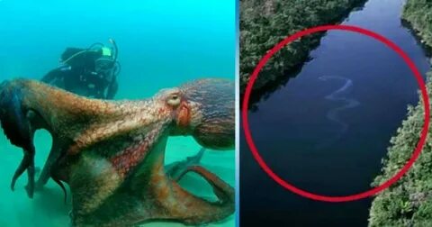 Какую страну назвали в честь морских глубин