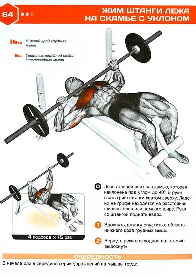 Жим лежа правильная техника. Правильная техника выполнения жима лежа штанги. Жим лежа мышцы задействованы. Правильность выполнения жима лежа. Упражнения для жима штанги лежа.