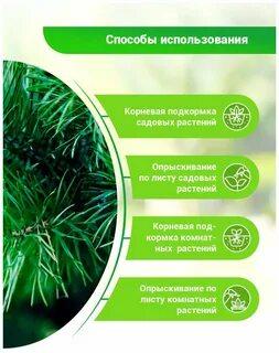 Био кедр отзывы