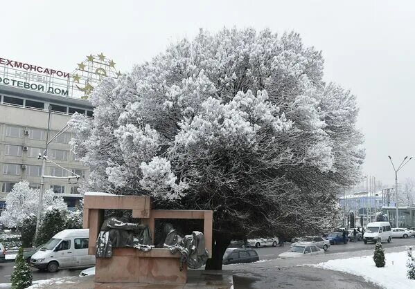 Зимний Душанбе. Худжанд зимой. Зима в Худжанде. Зима в Таджикистане.