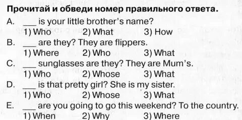Задания на вопросительные слова английский