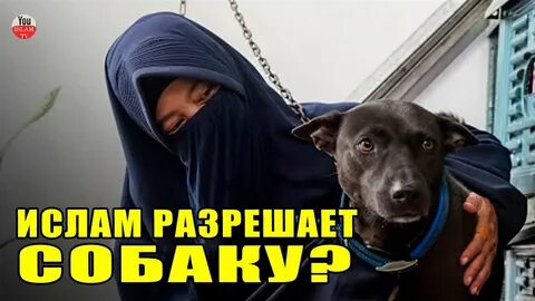 Почему нельзя держать собаку в доме мусульманам