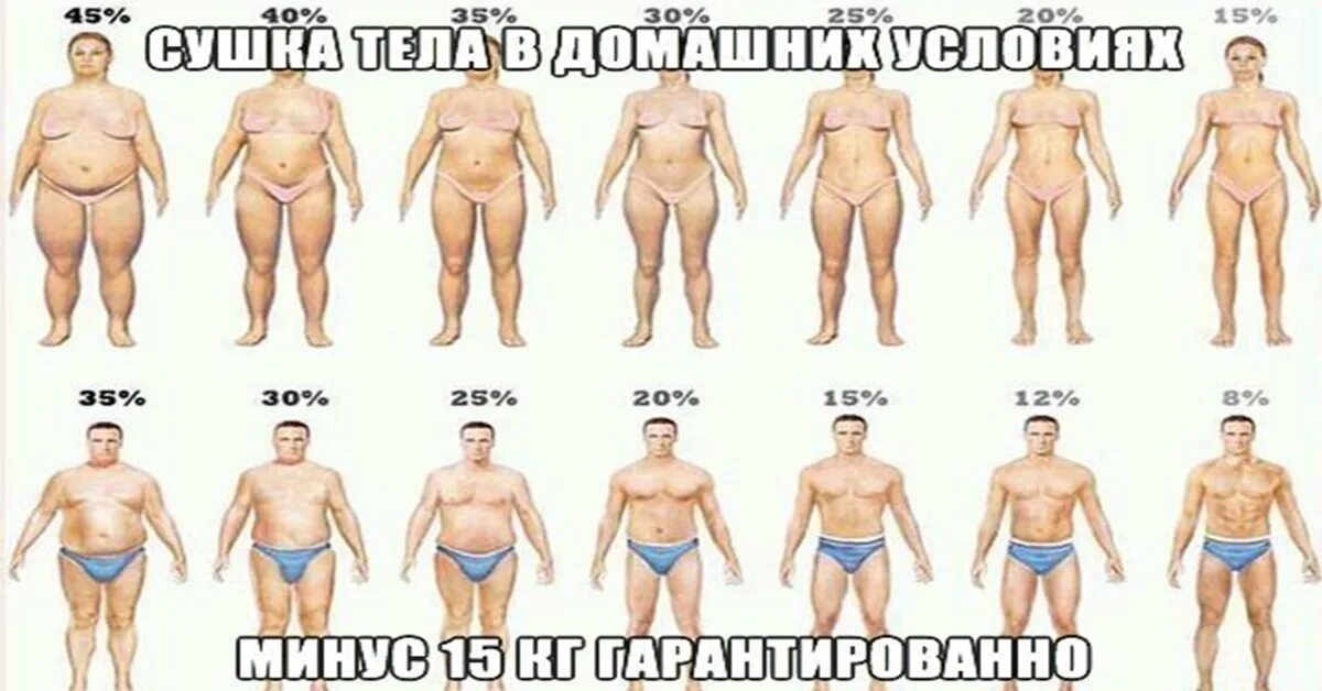 Как правильно сесть на сушку тела. Сушка тела. сушка тела для похудения для девушек. сушка тела для похудения для мужчин. упражнения для сушки тела.