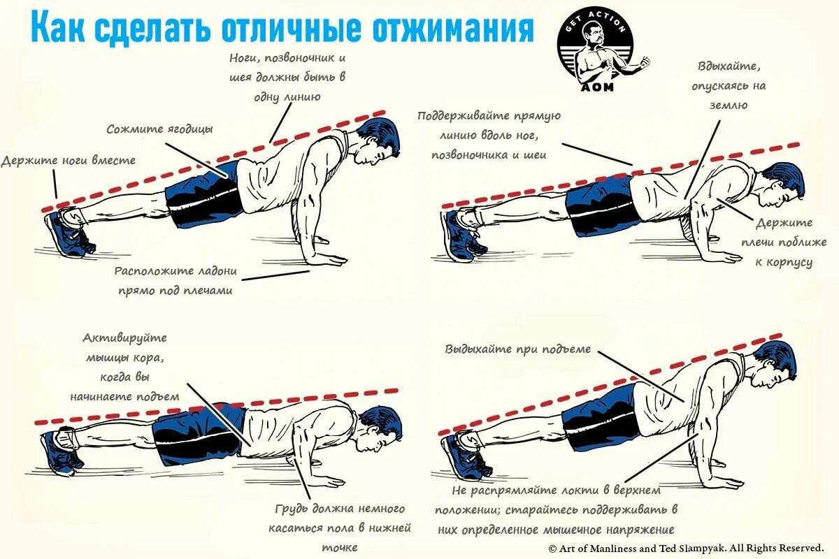 Тренировка мышц для начинающих