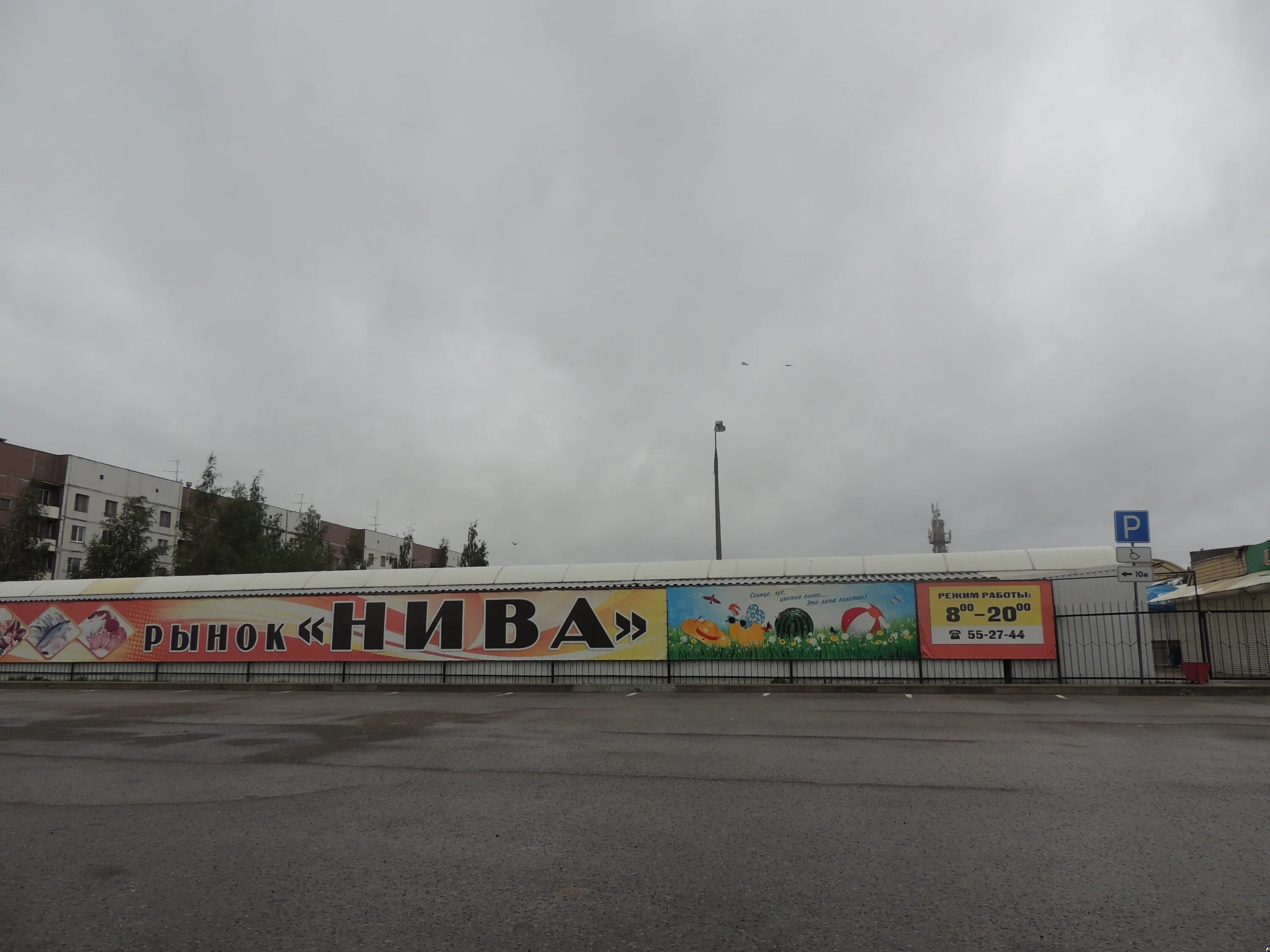рынок нива. рынок нива псков. рынок нива псков. коммунальная рынок нива. центральный рынок псков.