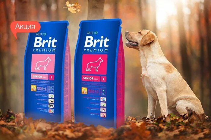 Brit Premium логотип. Brit Premium для собак 4кг. Brit Premium sensitive 18кг. Brit для собак средних пород 15 кг. Покупатели корма для собаки