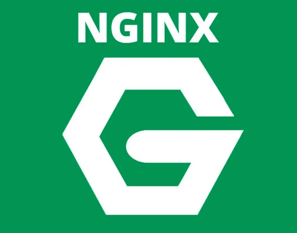 Nginx. Nginx лого. Nginx картинки. Nginx/1.16.1.