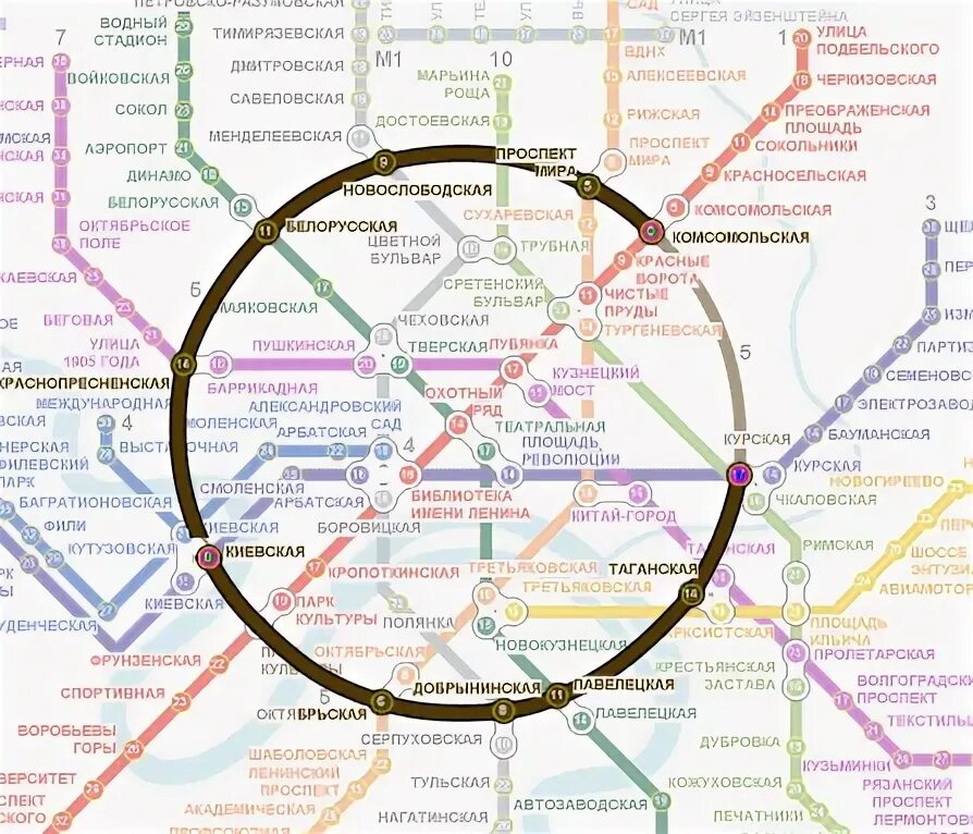 Кольцевая ветка метро Москвы. Коричневая ветка метро Москвы. Карта кольцевой линии метро Москвы. Московское метро коричневая ветка. Как доехать до кольцевой