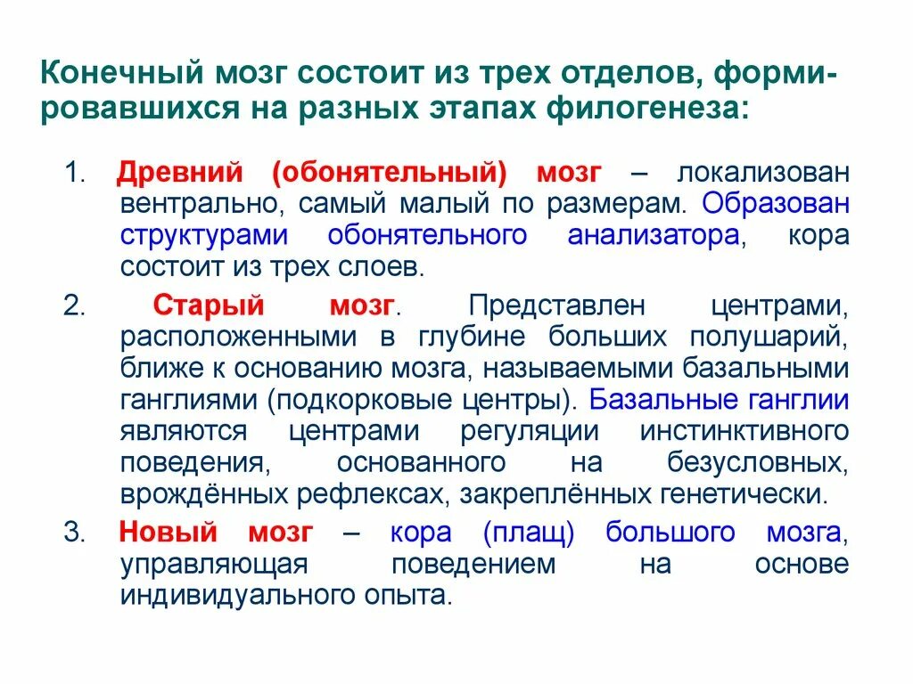 Функции филогенез. Филогенез коры больших полушарий. конечный мозг состоит из. развитие конечного мозга.