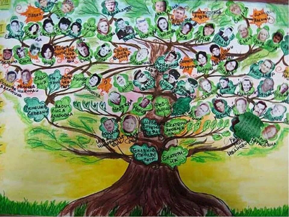 Генеалогическое дерево. Генетическое дерево. Генеалогическое дерево рисунок. Красивое дерево для родословной.