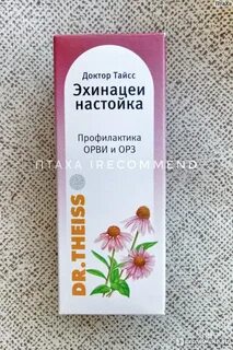 Эхинацея доктор