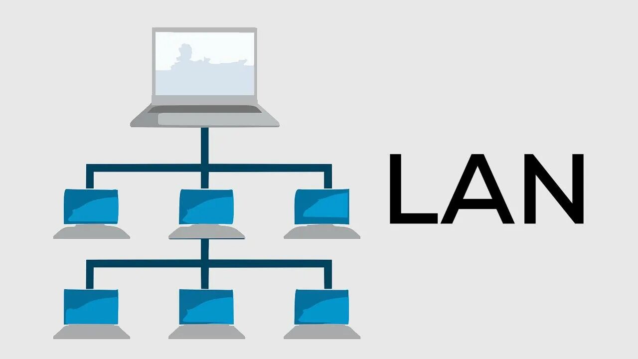 The local network is. Lan сеть. local area network lan. lan картинки. lan логотип.
