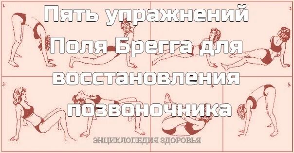 5 упражнений поля. 5 упражнений поля брэгга для восстановления позвоночника. 5 упражнений поля. Пять упражнений поля брэгга для восстановления позвоночника. Гимнастика поль брэгг 5 упражнений для спины.