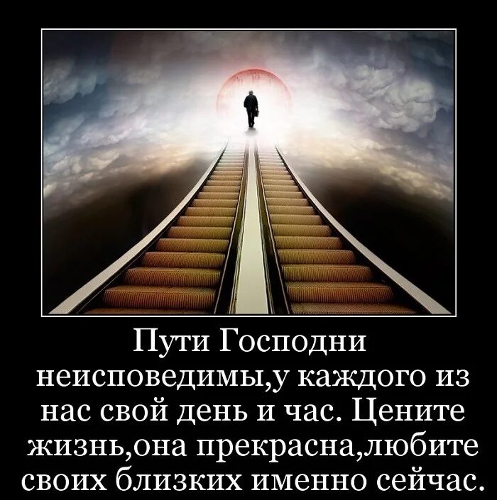 Текст цените время. Пути Господни неисповедимы. У каждого свой путь. У каждого из нас свой путь. Цените жизнь.