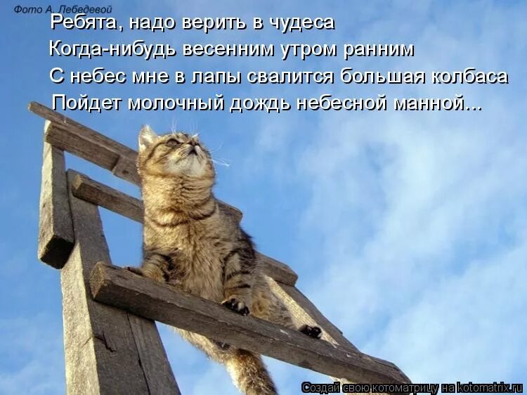 Ребята надо верить в чудеса когда нибудь. Надо верить в чудеса. вы верите в чудеса. верю в чудо прикольные. верьте в чудеса.