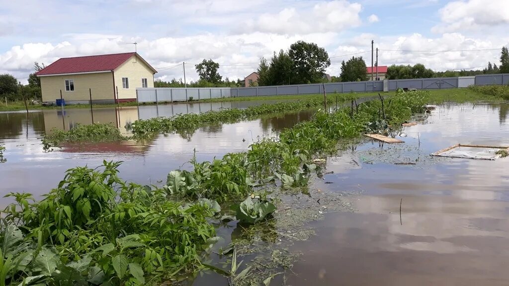 Квартиры николаевка еао. Село Николаевка ЕАО. Наводнение в ЕАО 2013 Николаевка. Николаевка Еврейская автономная область наводнение. Наводнение в Николаевке.