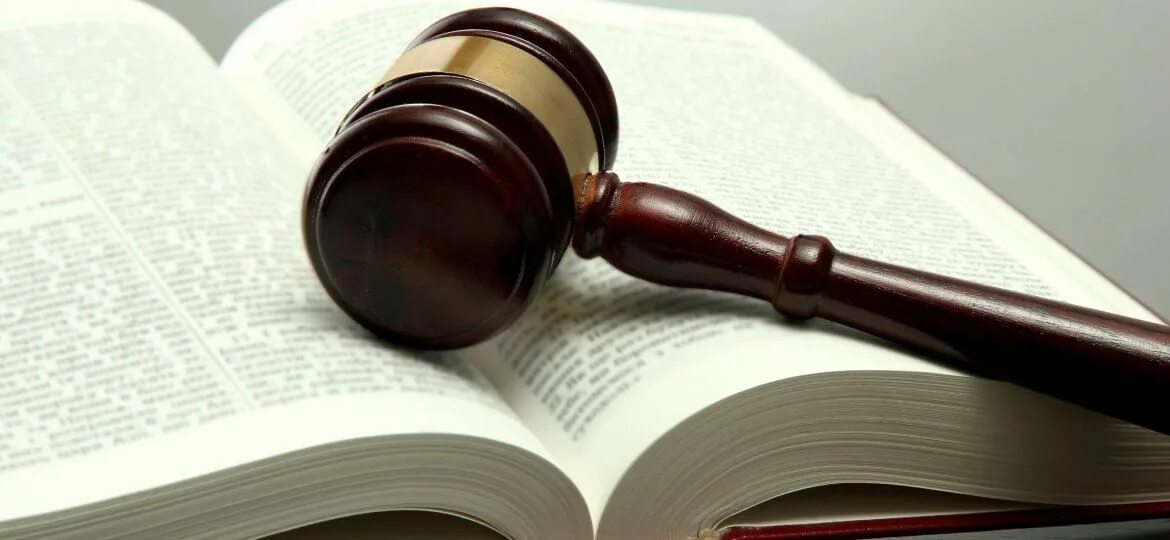 Корпоративное право. Право картинки без фона. Employment law. Legislation. Законопроект на белом фоне.