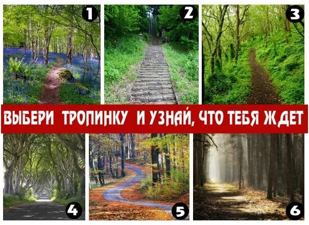 Выберите и узнайте будущее