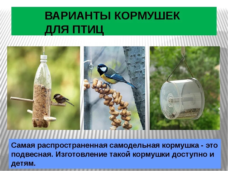 Для каких птиц используют кормушки. Презентация кормушка. виды кормушек для зимующих птиц. конструкция кормушки для птиц.