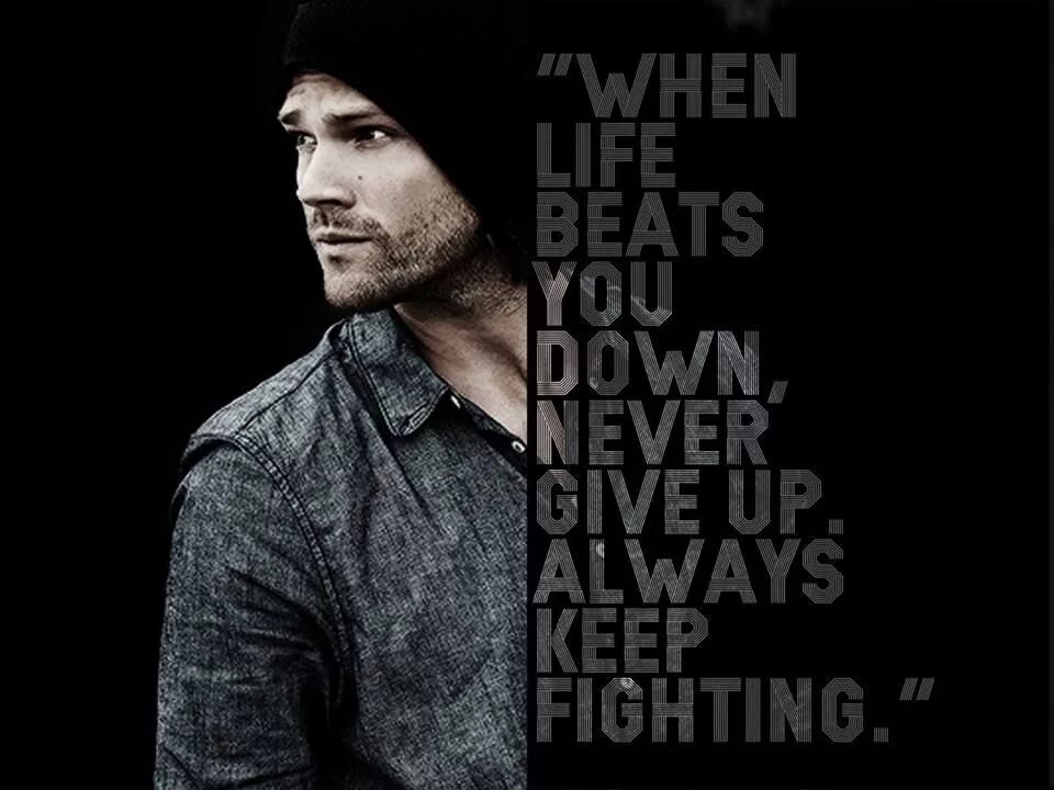 Always keep Fighting. Always keep up. Now this is a Fight Сэм. Max resist - keep Fighting. Always keep the best