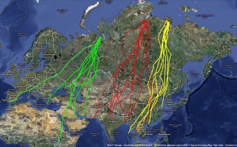 Карта пролета. Карта миграции гусей в России. Пути миграции гусей в России. Пути миграции уток в России. Миграционные пути гусей на карте России.