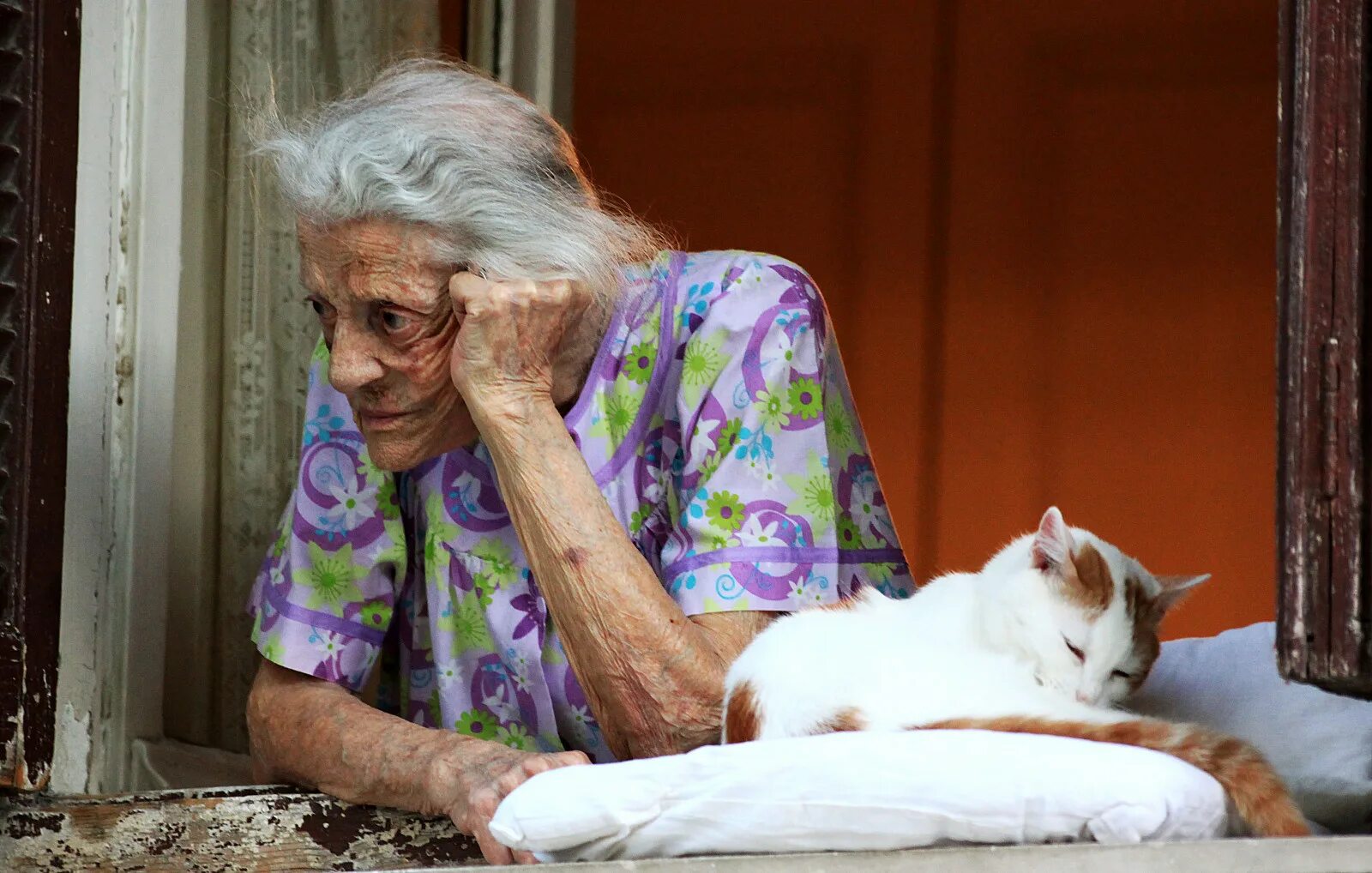Бабушки худые маленькие. Бабушка с кошкой. Старушка с котом. Пожилая женщина с кошками. Бабуля с кошками.