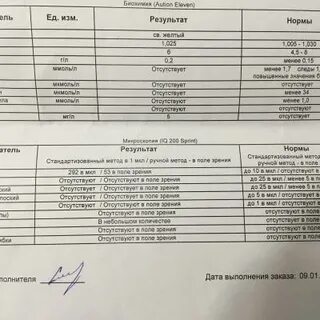 Гематурия общий анализ мочи