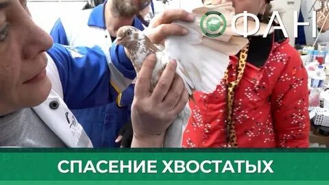 Спасать до последнего