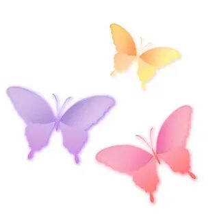 Couleur papillon