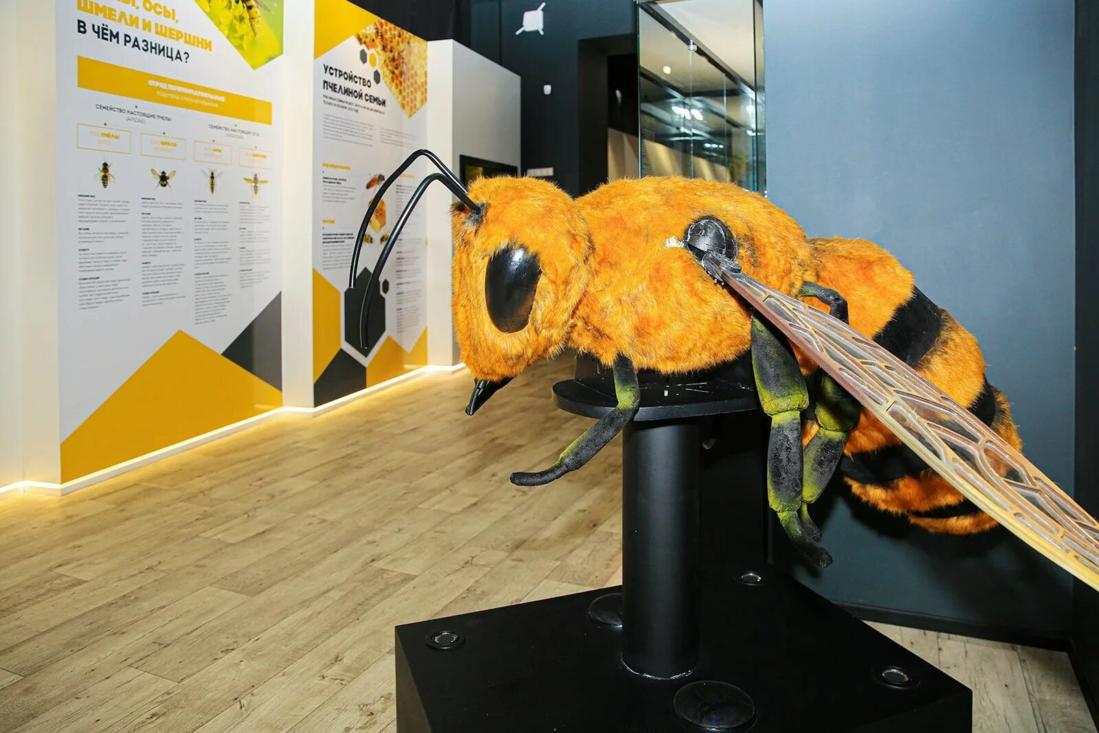 Планета пчел. Экоцентр пчеловодство вднх. Экоцентр пчеловодство. Музей пчеловодства на вднх. Магазин павильон пчеловодства вднх.
