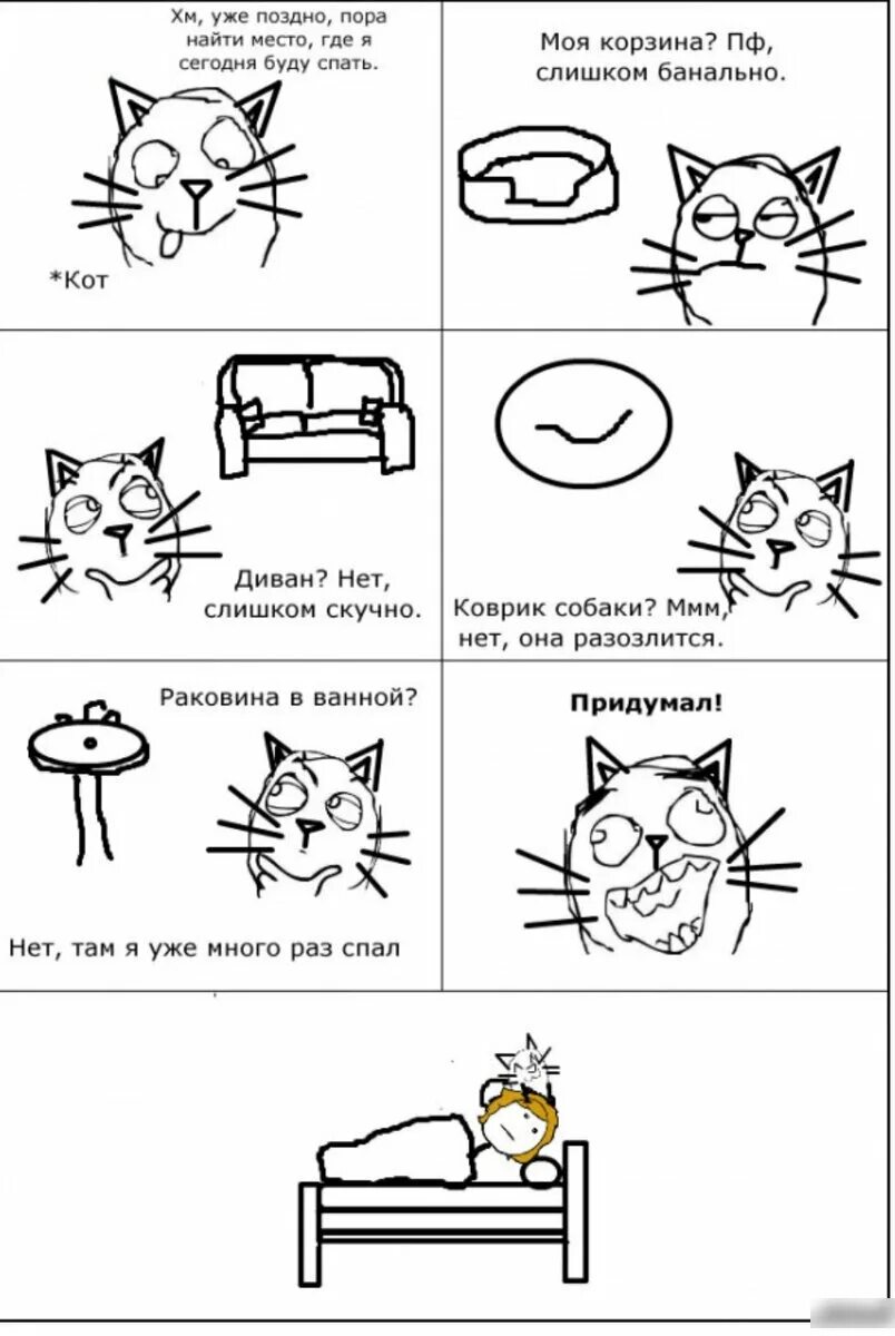 Позитивные котята. Топ 5 смешных котов. Три кота мультфильм коржик. Мемы про наташу икотоа. Позитивный котик.