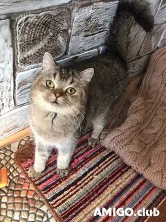 Жалаңаш мулат фотосы