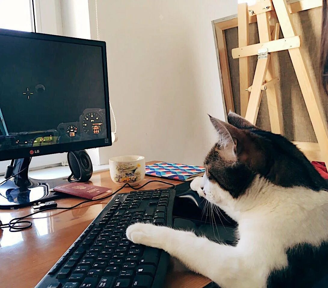 Кот играющий на компьютере. Котик за компьютером. кот сидит за компом. кошка и компьютер. кот за пк.