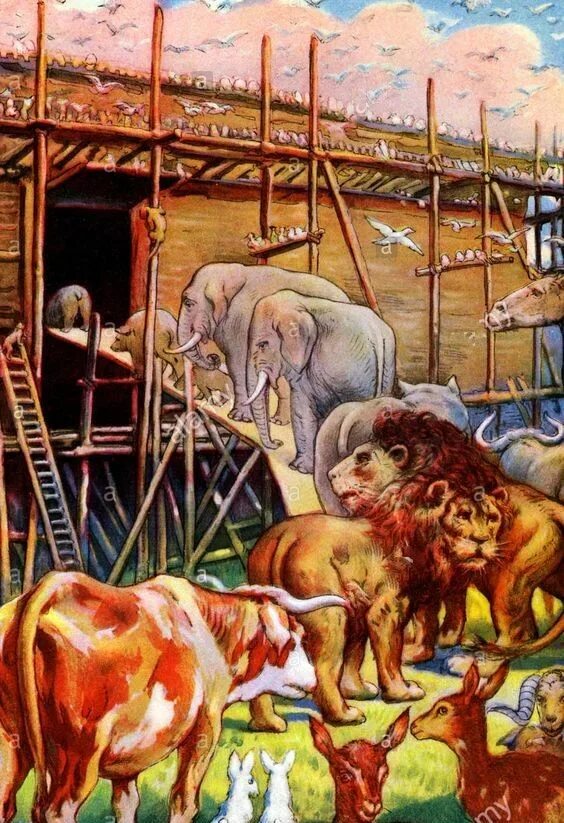 Noah animal. Ноев ковчег иллюстрации. Ковчег ноя на белом фоне. Картина ноев ковчег два льва. Noah animal.