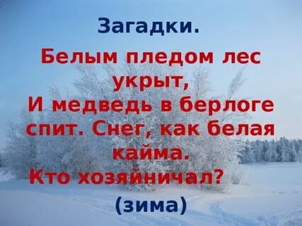 Зимняя тайна