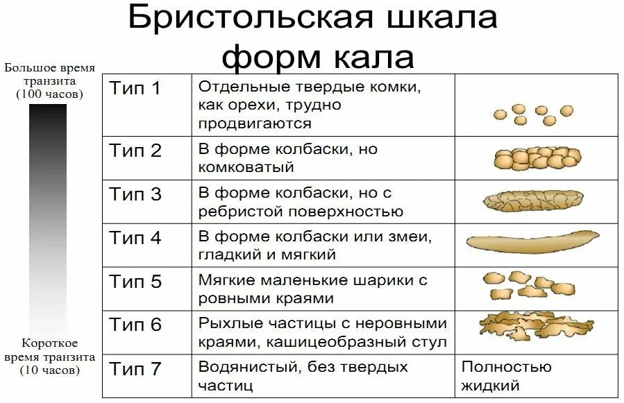 Бристольская шкала цвета кала. Бристольская шкала Тип 1. Бристольская шкала формы фекалий. Бристольская шкала оценки стула. Какой кал при заболевании кишечника