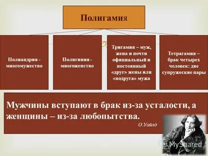 Полигамия что