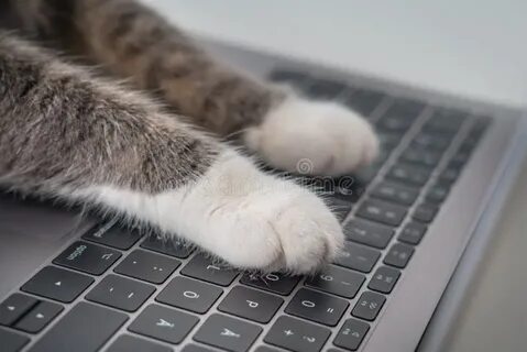 Capcat для компьютера