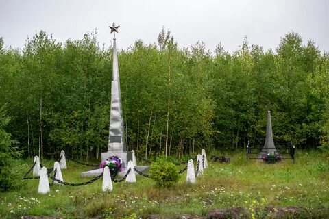 Алексеевское рязанская область