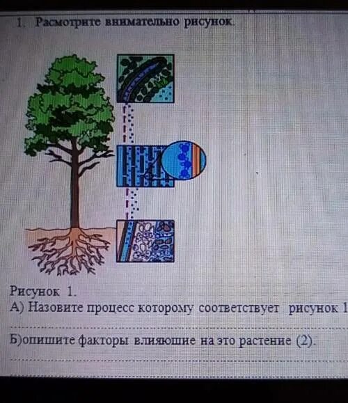 Рассмотрите рисунок как называется процесс. Сшарпоясните рисунком и соответствующими записями. внимательно расмотри рисунок и определи заря.