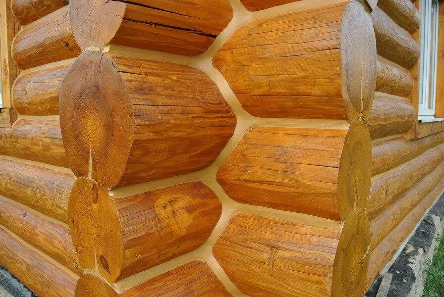 Покрытие бревна. Конопатка оцилиндрованного бревна. шлифованное бревно. крашеное бревно. бревенчатый сруб.