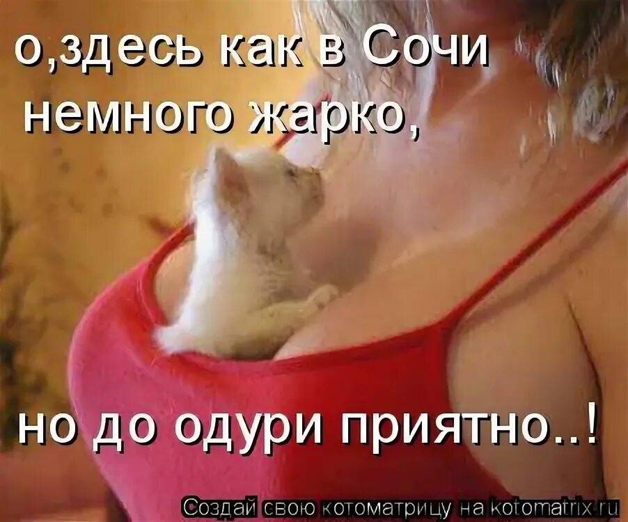 жарко рисунок. человеку жарко. жарко в доме. не очень холодно даже немного жарко мем. грудью на амбразуру прикол.