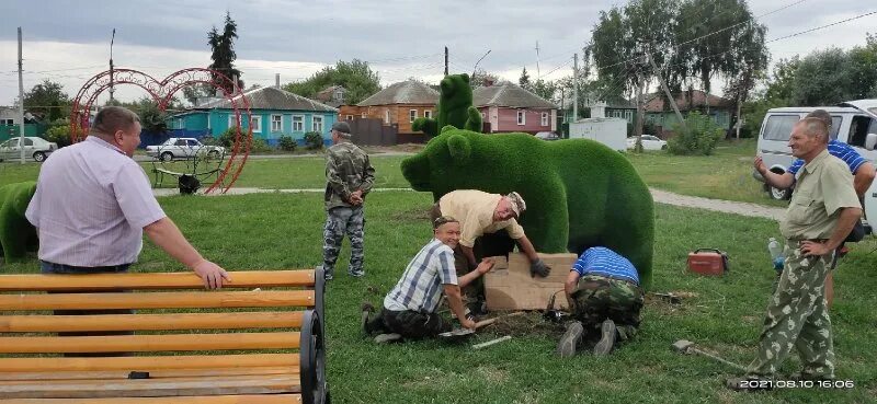 Зеленый медведь. Подслушано в Щиграх. Медведь Курской области. Щигры парк с тремя медведями. Подслушано в щиграх курской