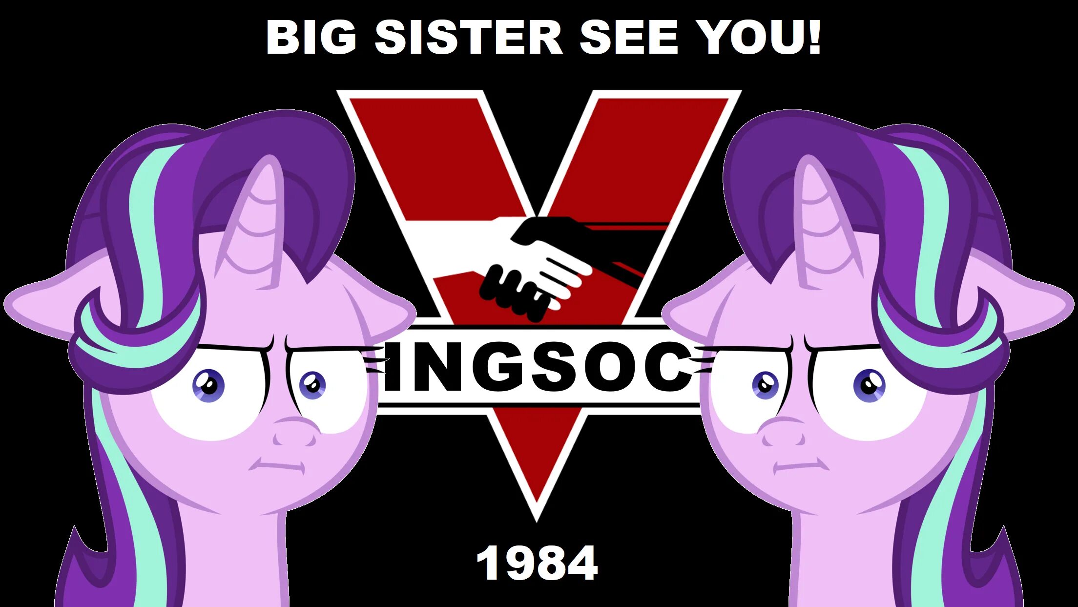 Пони 1984 Ingsoc. Big sister watching you. Большая сестра 1984. Big sister is watching you. See your sister