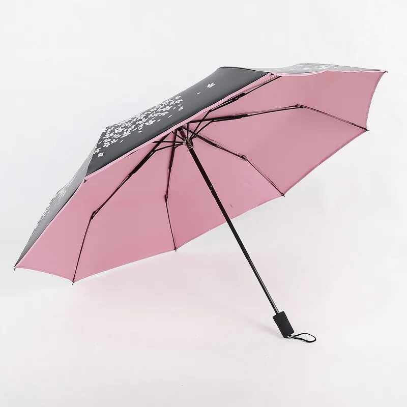 Купить зонтик женский автомат. Gea 87071 зонт. "Amiko" зонт женский мини складной. Зонт ternua Venice. Зонт Metaco арт. '9610-005b.