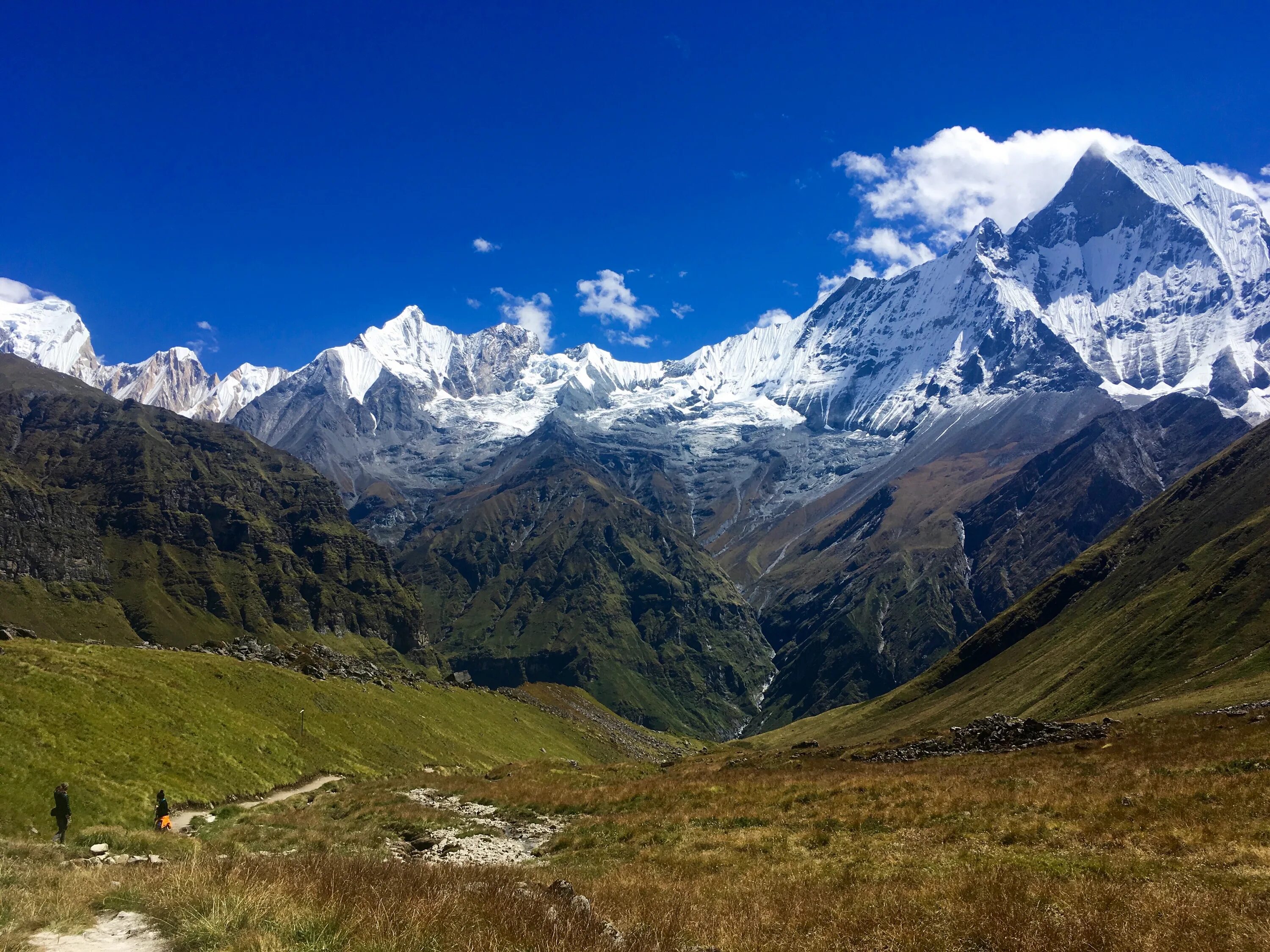 Горы Гималаи. Индия горы Гималаи. Предгорье Гималаев. Himalaya горы. Предгорья гималаев