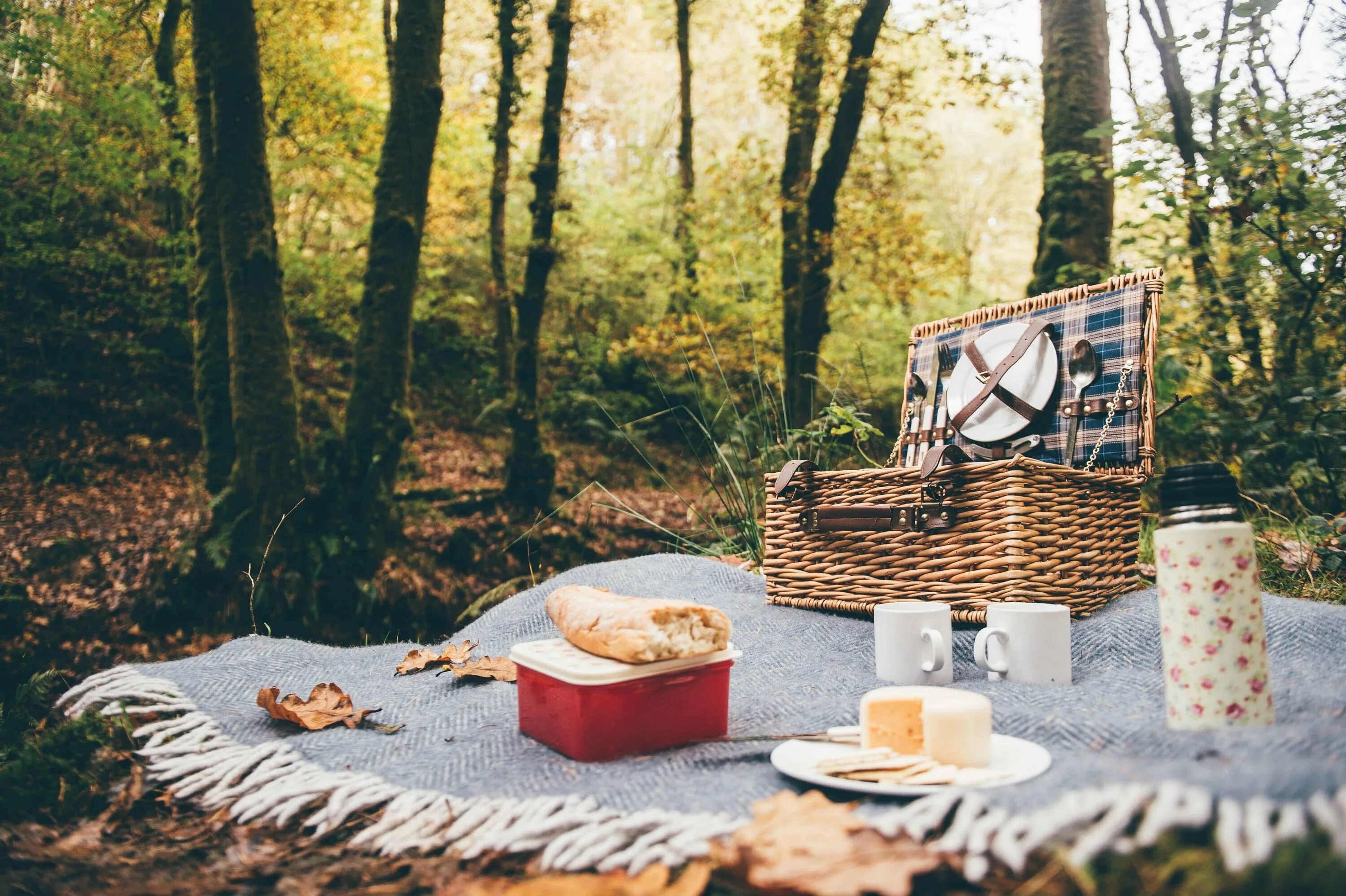 To be on a picnic